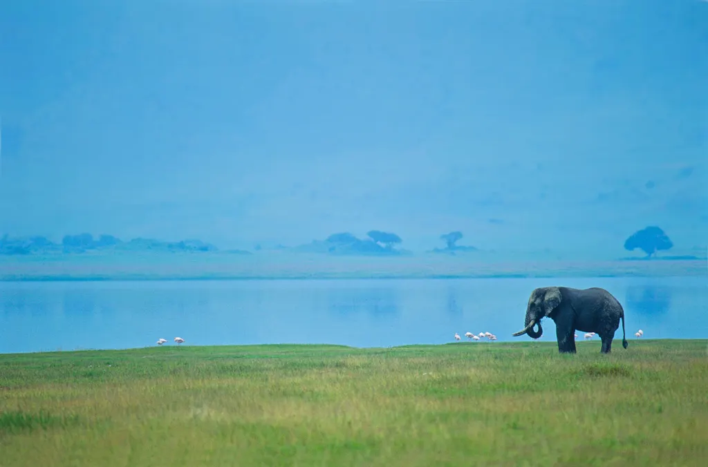 Tanzania 1996
