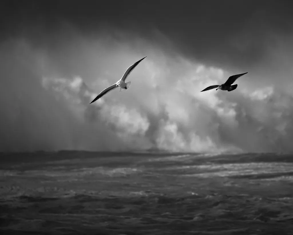 Time & Tide