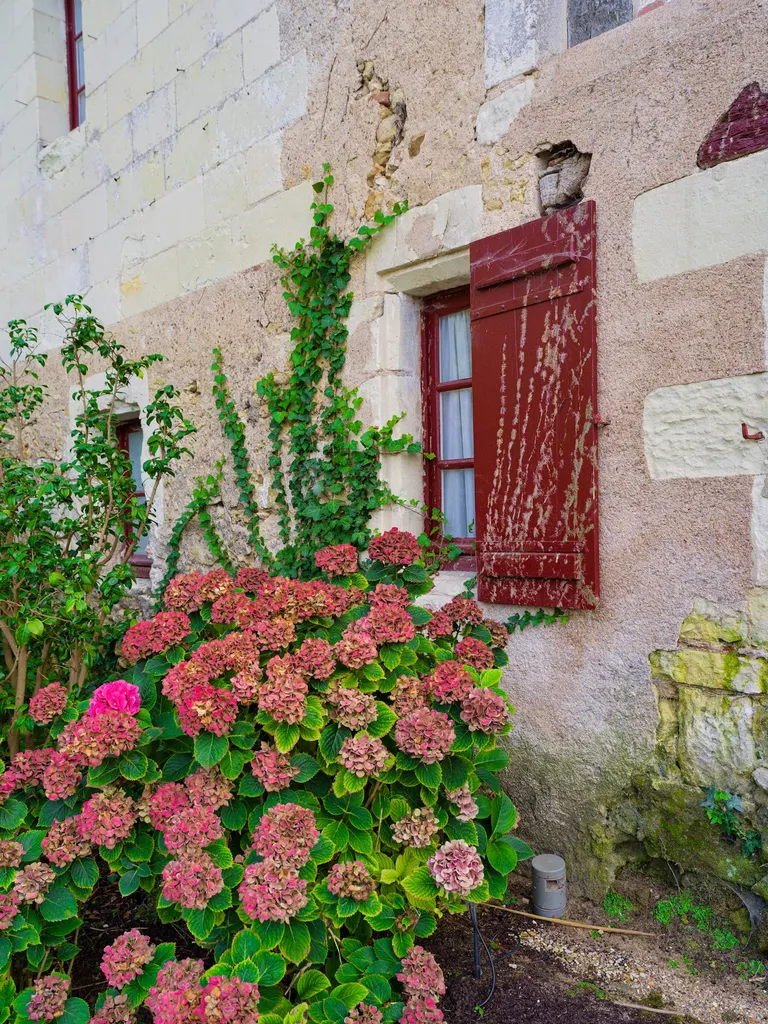 France