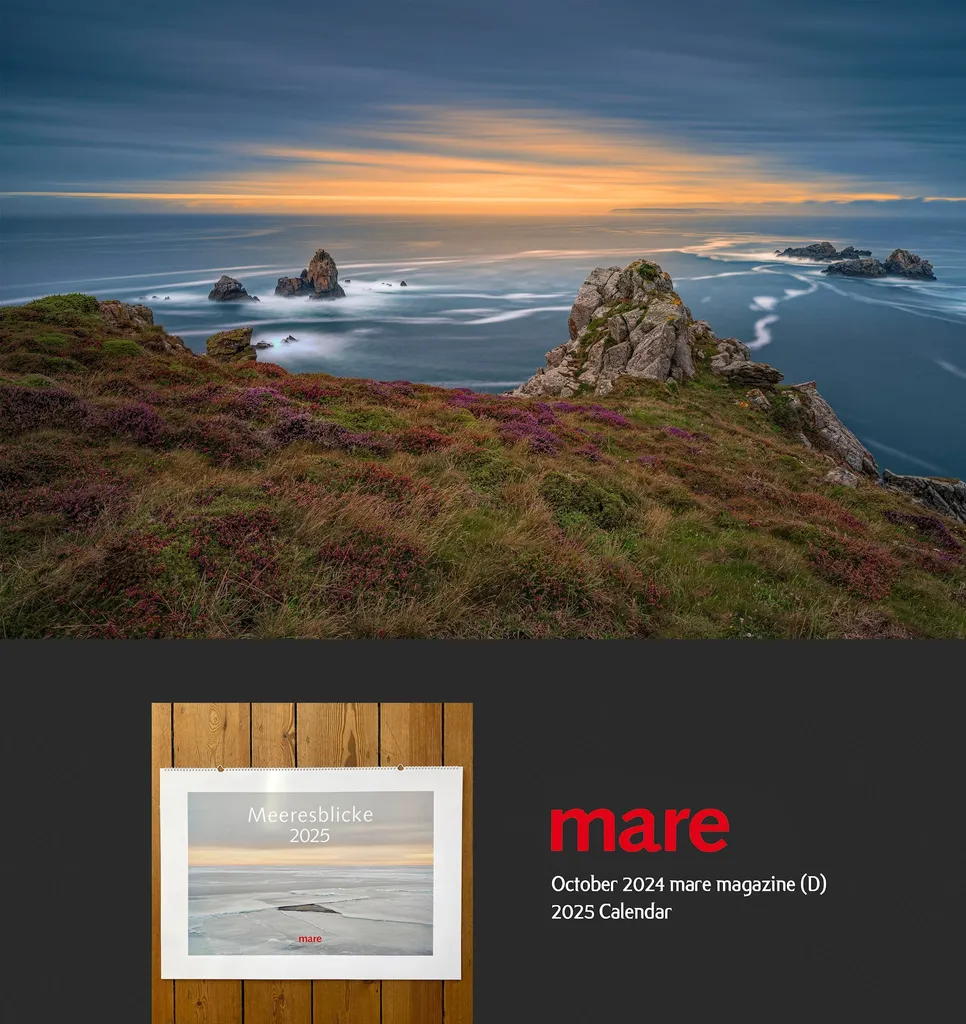 Publication