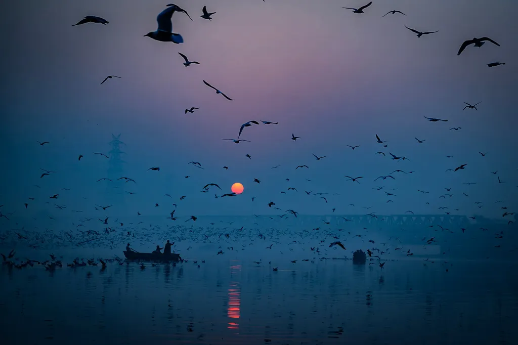 Brume et envol, Kashmere Gate, Delhi, India