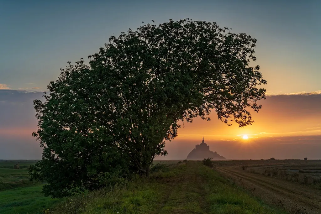 Landscapes