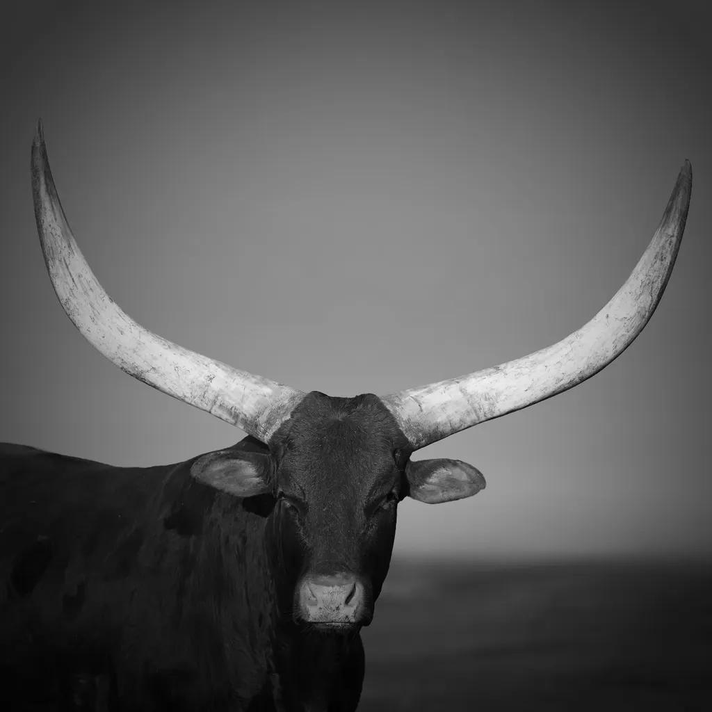 Tanzania 1996