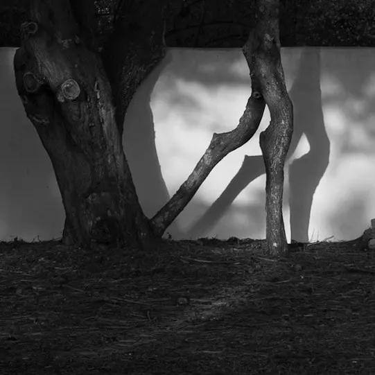 Stilled