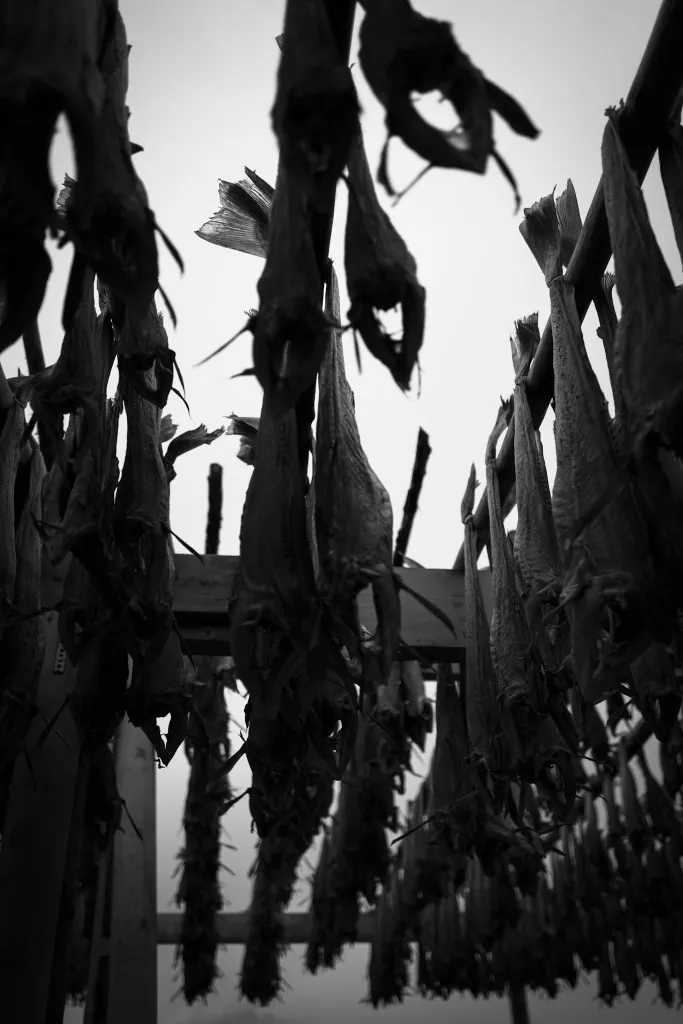 Stilled