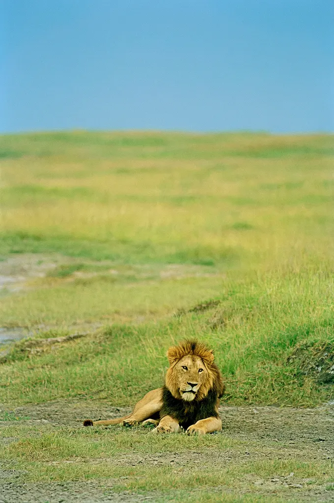 Tanzania 1996