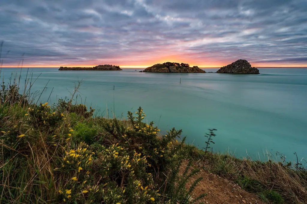 Seascapes