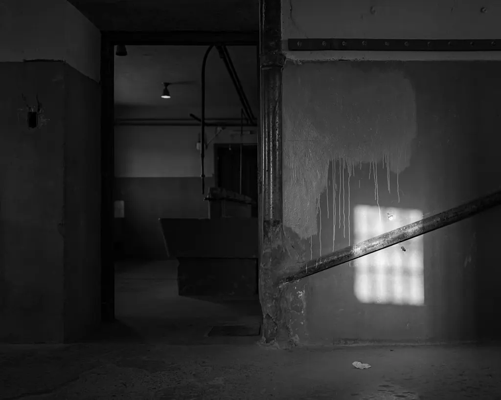 Glimpses