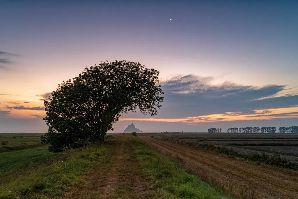 Landscapes