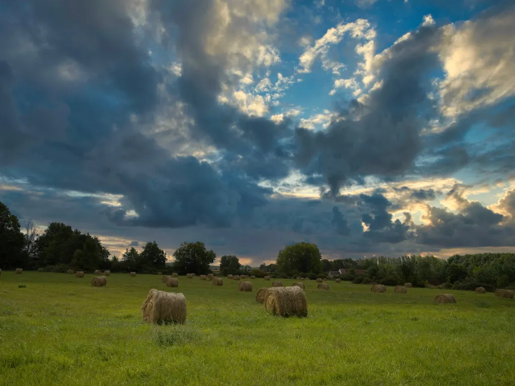 France