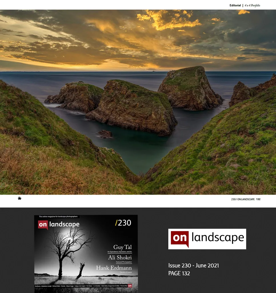 Publication