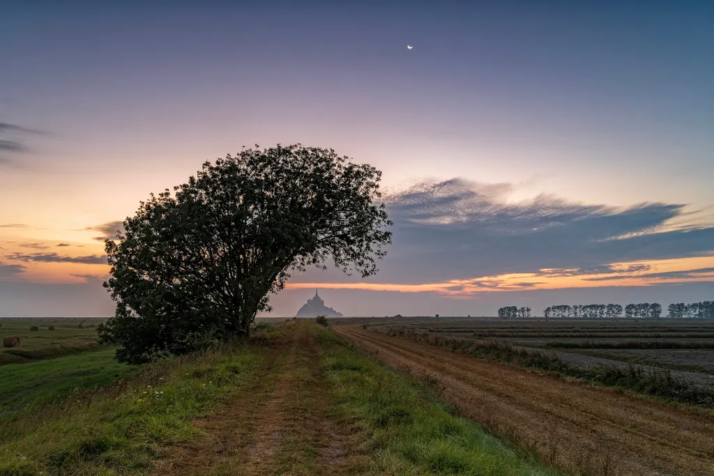 Landscape