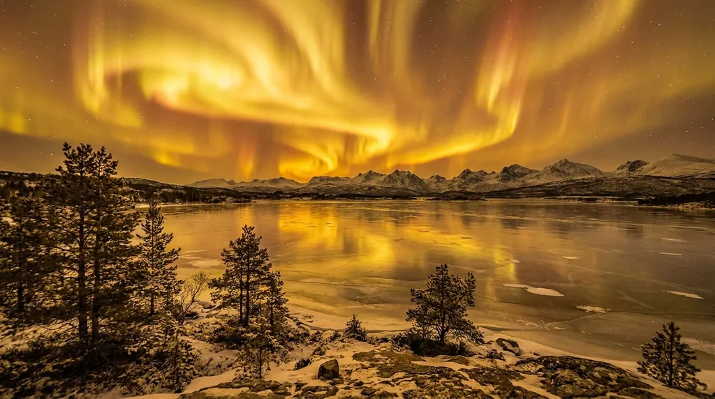 Aurore Boreal - Jaune