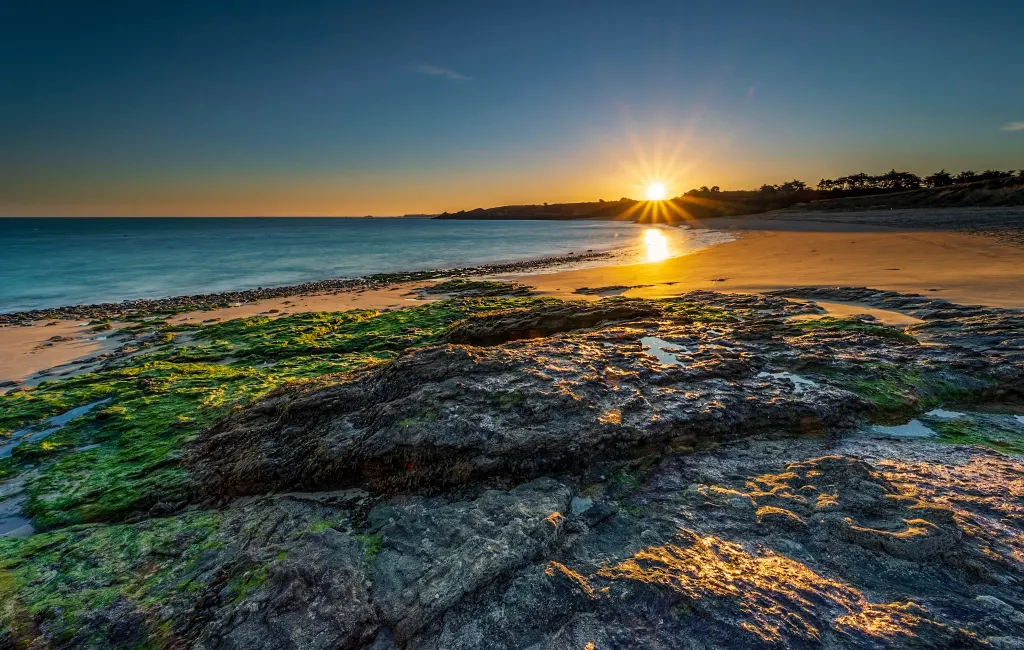 Seascapes