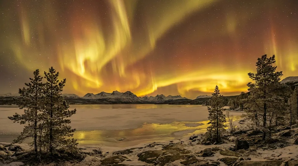 Aurore Boreal - Jaune