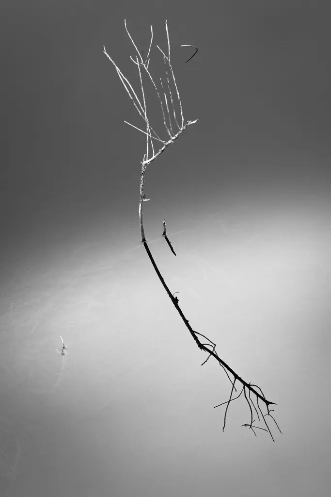 Stilled